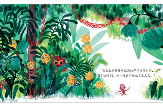 小猴子 商品图1