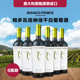 一箱 意大利帕多瓦特级佳纳佳干白葡萄酒 750ML 酒精度12.5%  原瓶原装进口