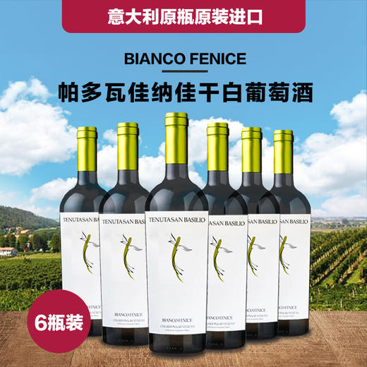 一箱 意大利帕多瓦特级佳纳佳干白葡萄酒 750ML 酒精度12.5%  原瓶原装进口 商品图0
