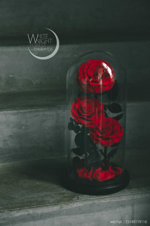 小王子永生花玻璃罩玫瑰花 商品图9