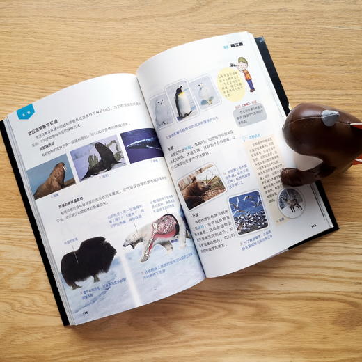 《少儿剑桥科学》 全6册 剑桥大学国际考评部认证的教材，全球有30多个国家的国际学校和私立学校，就用它来给孩子们上科学课。 商品图6