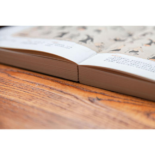 黄帝内经全集（全译图解版）中医养生本源之书 商品图4