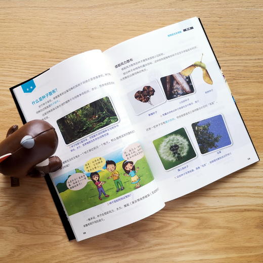 《少儿剑桥科学》 全6册 剑桥大学国际考评部认证的教材，全球有30多个国家的国际学校和私立学校，就用它来给孩子们上科学课。 商品图4