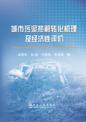 城市污泥热解转化机理及经济性评价/姬爱民 孙鑫 于晓艳 李海英