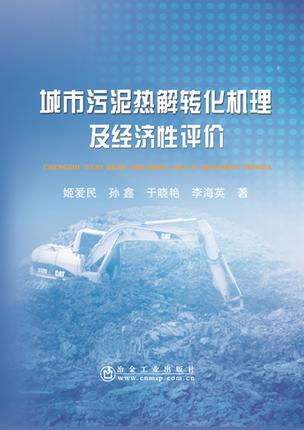 城市污泥热解转化机理及经济性评价/姬爱民 孙鑫 于晓艳 李海英 商品图0