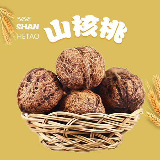 巫溪高山地区山核桃 商品图0