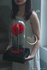 小王子永生花玻璃罩玫瑰花 商品缩略图2