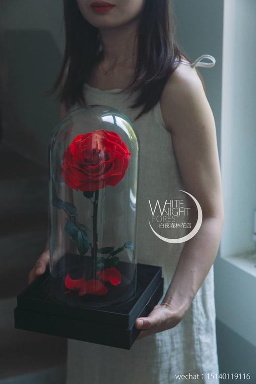 小王子永生花玻璃罩玫瑰花 商品图2