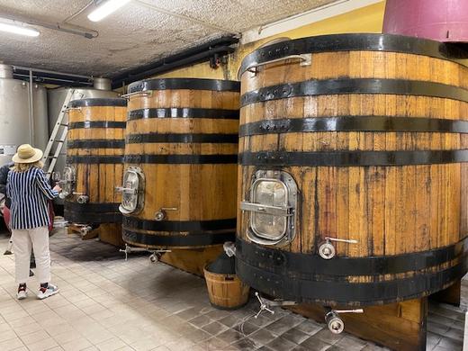 一箱 意大利帕多瓦特级梅洛干红葡萄酒 750ML 酒精度14%  原瓶原装进口 商品图3