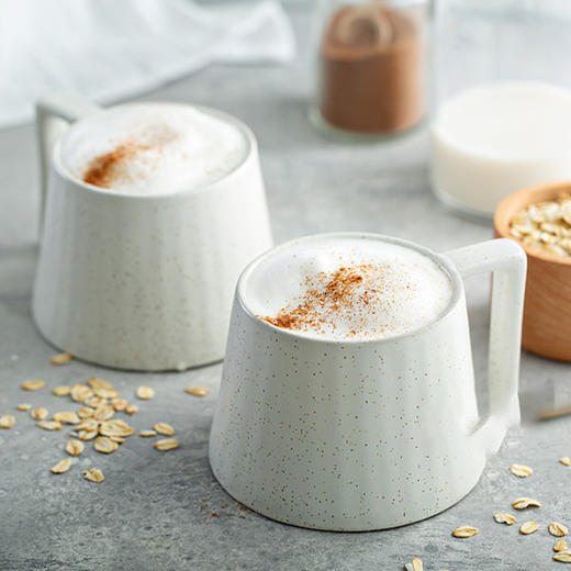 【经销商专区】【12风味粉】酶解燕麦粉1kg*10袋/箱 燕麦拿铁 奶茶店家用速溶 商品图3