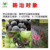 加望 苯甲 嘧菌酯    防治葡萄霜霉病、炭疽病、黑痘病 商品缩略图1