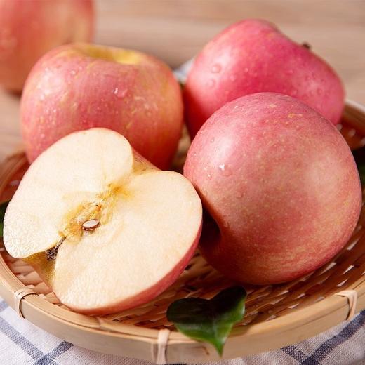 【直发】烟台红富士 商品图3