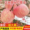 【直发】烟台红富士 商品缩略图0