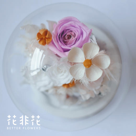 《FOR YOU》- 永生花玻璃 商品图4