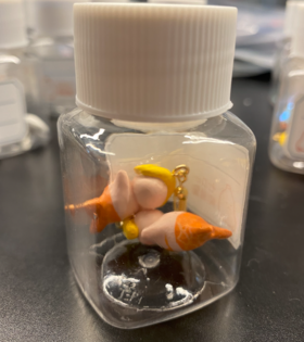 七口『双美人鱼』耳环