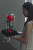 小王子永生花玻璃罩玫瑰花 商品缩略图0
