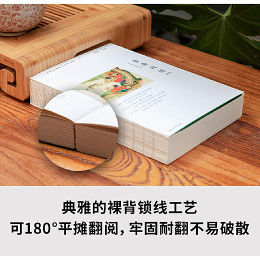 黄帝内经全集（全译图解版）中医养生本源之书 商品图3