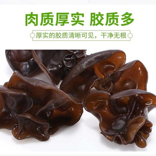 重庆 巫溪红池中岗原 干木耳 250g/袋 商品图2