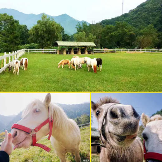 【五一专场~丹霞灵溪】深山藏美景，458元起入住丹霞灵溪明月谷客房+美味早餐+双人大门票+单程缆车/小火车，世外桃园，五一家庭出游首选！（使用日期：2026年5月1日-5月5日） 商品图3