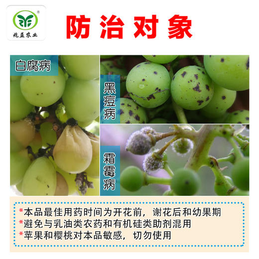 先正达 阿米西达 防治葡萄霜霉病、黑痘病、白腐病， 商品图1