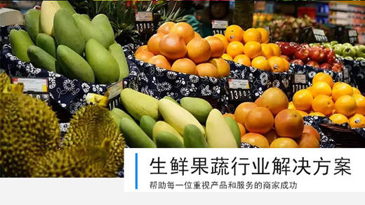 生鲜果蔬行业 商品图0