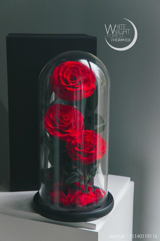 小王子永生花玻璃罩玫瑰花 商品图1