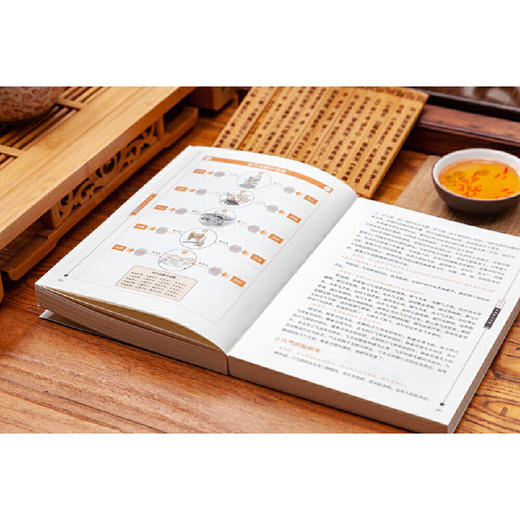 黄帝内经全集（全译图解版）中医养生本源之书 商品图7