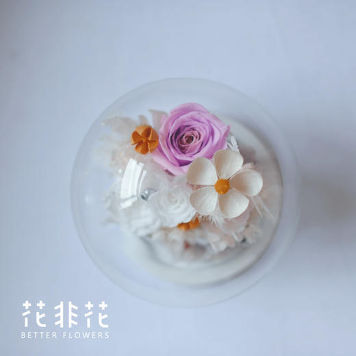 《FOR YOU》- 永生花玻璃 商品图5