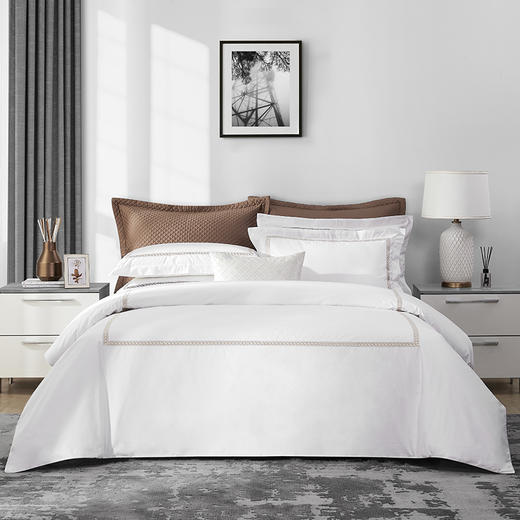 天丝棉邂逅四件套 再加赠一对枕套 商品图2