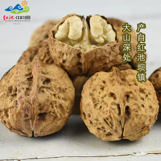 巫溪高山地区山核桃 商品图1