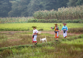 湖南花瑶古寨民俗采风，花瑶虎形山+古寨崇木凼+万贯冲梯田+旺溪瀑布群+小东江+高椅岭6天