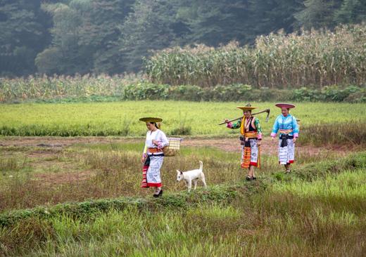 湖南·邵阳非遗 花瑶民俗风情，万贯冲梯田，旺溪瀑布四天两晚摄影<臻享>8.14日 商品图0