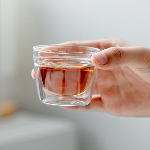 哲品 便携旅行茶具套装耐热玻璃红茶泡茶器 月影简装一壶两杯整套 商品图8