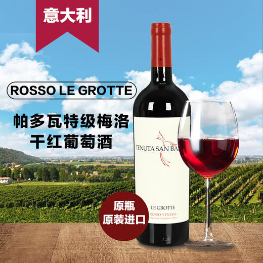 2瓶 意大利梅洛干红葡萄酒750ml 商品图0
