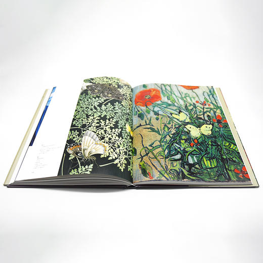 日光西映：日本艺术与西方现代艺术运动的兴起 商品图8