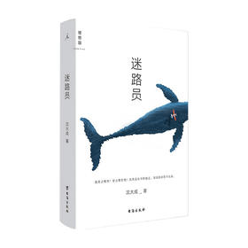 迷路员 沈大成 著 中国现当代文学短篇小说集 2021新作 苏童 唐诺 小行星掉在下午