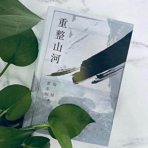 队伍 第一部 重整山河 黄孝阳 陶林 著 中国现当代文学小说 长篇抗日战争力作 商品图2