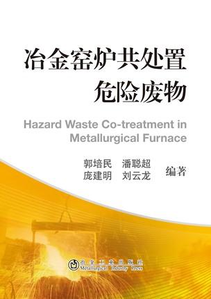 冶金窑炉共处置危险废物/郭培民 商品图0