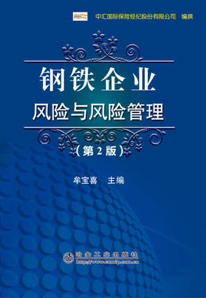 钢铁企业风险与风险管理（第2版）/牟宝喜 商品图0