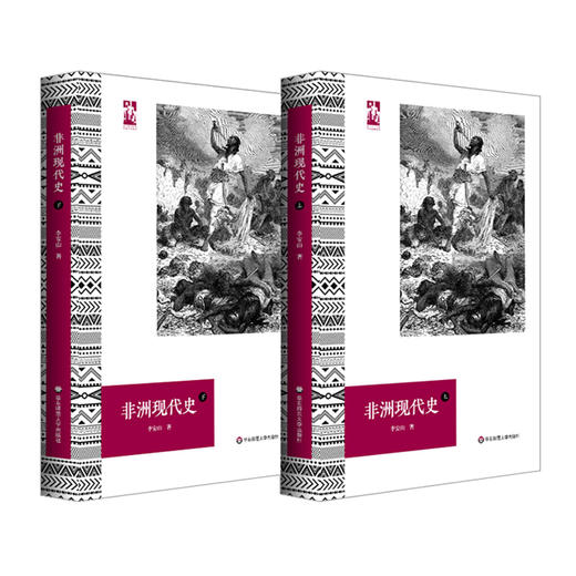 非洲现代史 六点非洲系列 林毅夫推荐 非洲史学者李安山撰 商品图0