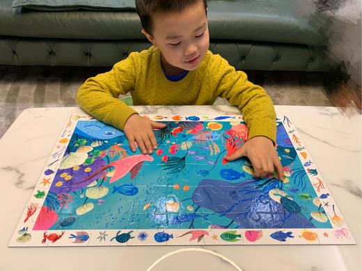 DJECO观察拼图集合（拼图连连看，培养专注力观察力提高记忆力，练眼神）(TG-YY) 商品图8