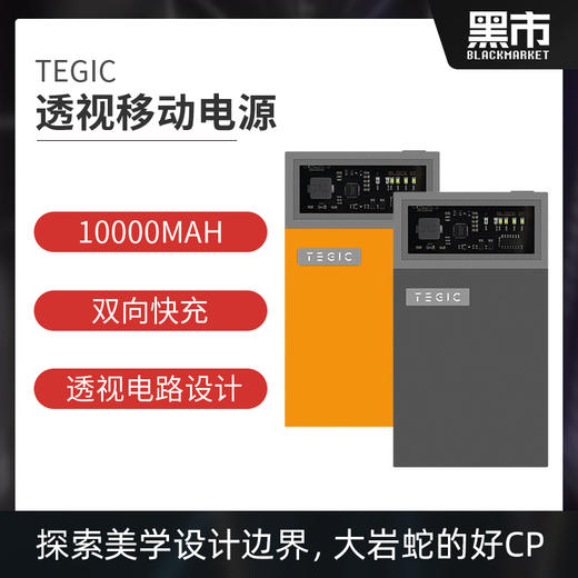 TEGIC/特极客 BLOCK透视移动电源 快充自带线充电宝 苹果Lightning / Type-C 商品图0
