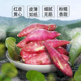 时令试吃福利！天目山小香薯 两斤装 软糯香甜嘎嘎香