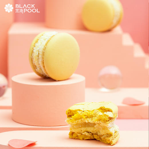 生巧马卡龙礼盒-9颗装马卡龙  30g/个 商品图5