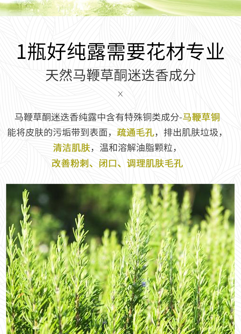 美妆个护德德维芙马迷纯露马鞭草酮迷迭香纯露补水闭口粉刺缩毛孔纯露