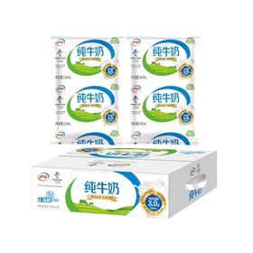 伊利枕纯牛奶240ml×16袋