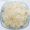 【1.98元2斤】豆芽（1500097） 商品缩略图0