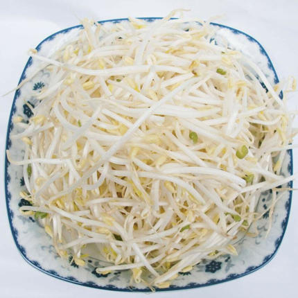 【1.98元2斤】豆芽（1500097） 商品图0