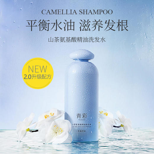 【2瓶立减20】青彩山茶氨基酸精油洗发水  天然植物成分呵护头皮滋养秀发  改善头屑油腻  拯救发际线   300ml/瓶 商品图0