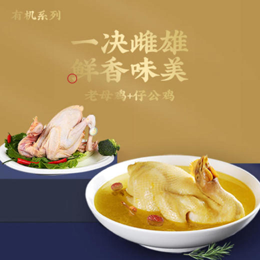 山中鲜有机系列老母鸡仔公鸡各1只组合装（无内脏） 商品图1